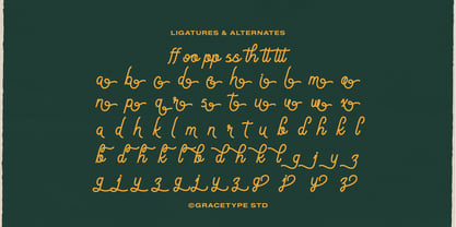 Meptora Font Poster 12