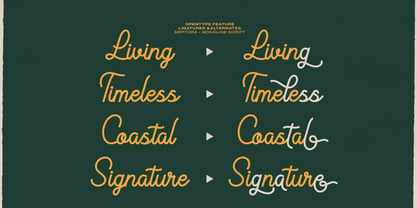 Meptora Font Poster 5