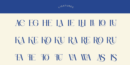 Casmera Font Poster 15