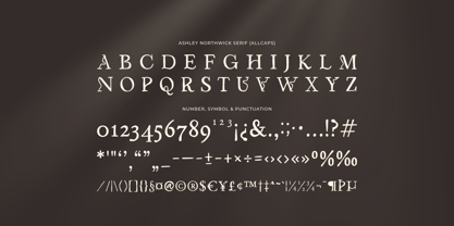 Ashley Northwick Font Poster 12