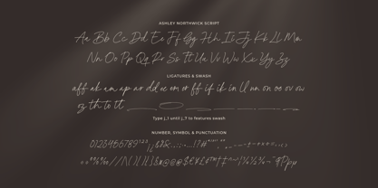 Ashley Northwick Font Poster 11