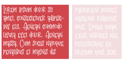 PN Valentine Gift Font Poster 7