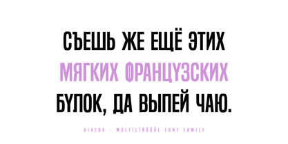 Vivera Font Poster 6