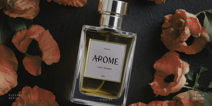 Vindira Font Poster 7