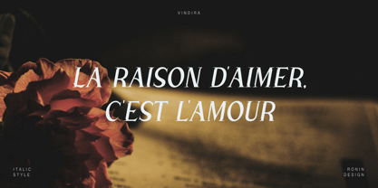 Vindira Font Poster 2