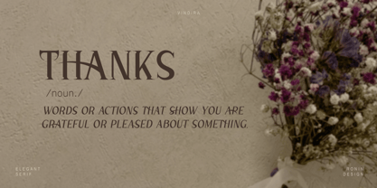 Vindira Font Poster 11