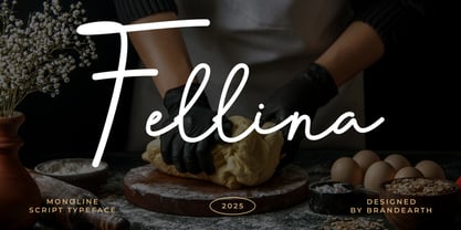 Fellina Font Poster 1