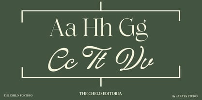 The Chelo Editoria Font Poster 8
