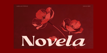 Valerella Font Poster 13