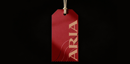Valerella Font Poster 9