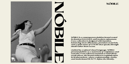 Valerella Font Poster 4