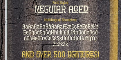 Drive Scout Font Poster 5