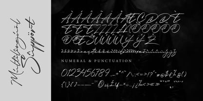 Onatur Font Poster 7