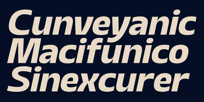 Sansceina Font Poster 9