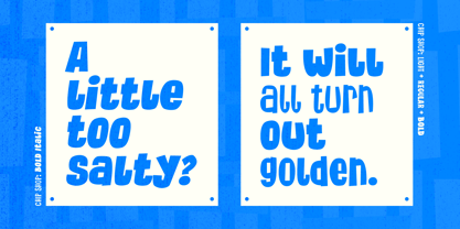 Chip Shop Font Poster 6
