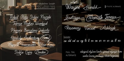 Aleandra on the Soundwaves Font Poster 3