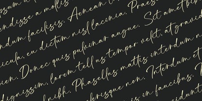 Dialtones Font Poster 8