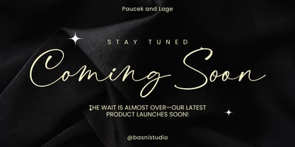 Dialtones Font Poster 5