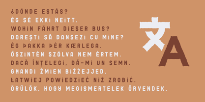 Pinota Font Poster 2