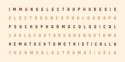 Pinota Font Poster 5
