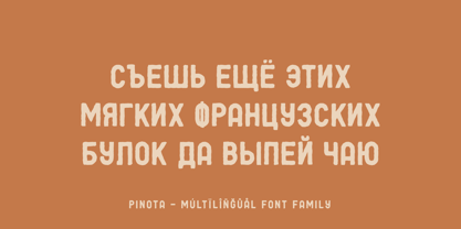 Pinota Font Poster 7