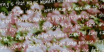 IT Zalro Font Poster 8