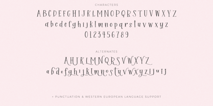 Sprinkle Cookie Serif Font Poster 10