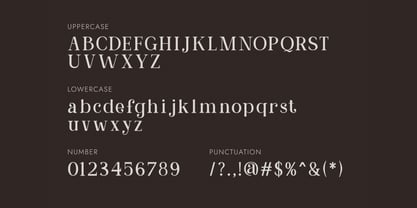 Aurellina Font Poster 2