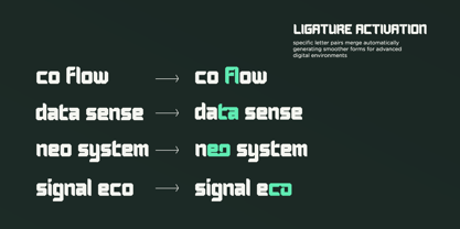 Forzon Font Poster 13