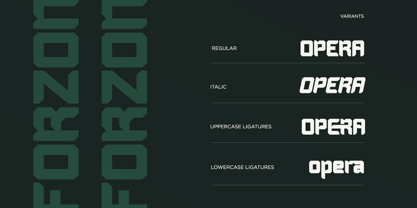 Forzon Font Poster 14