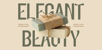 Elvora Font Poster 2