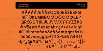 Banky Sans Font Poster 5