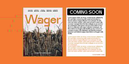 Banky Sans Font Poster 11