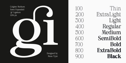 Calgine Serif Variable Font Poster 2