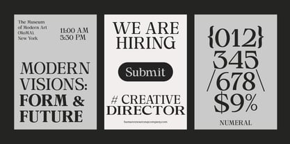Calgine Serif Variable Font Poster 5