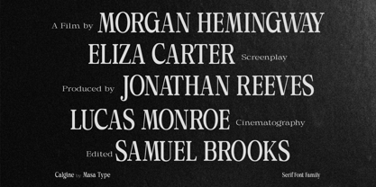 Calgine Serif Variable Font Poster 8