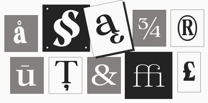 Calgine Serif Variable Font Poster 7