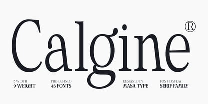 Calgine Serif Variable Font Poster 1