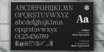Calgine Serif Variable Font Poster 12