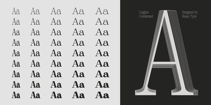 Calgine Serif Variable Font Poster 11
