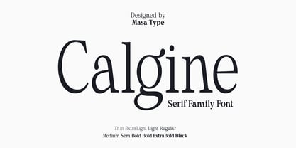 Calgine Serif Variable Font Poster 13