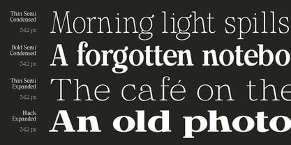 Calgine Serif Variable Font Poster 3