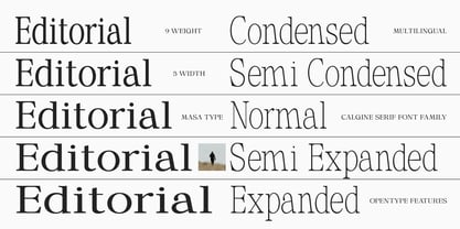 Calgine Serif Variable Font Poster 6