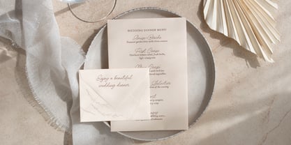 Senthami Font Poster 6