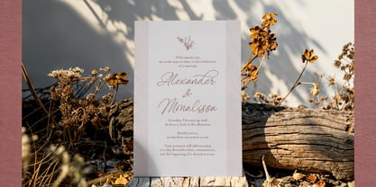 Senthami Font Poster 2