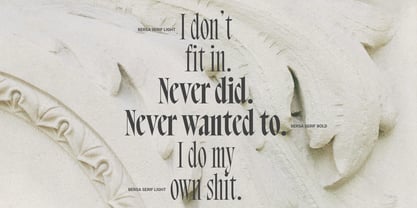Bersa Serif Font Poster 12