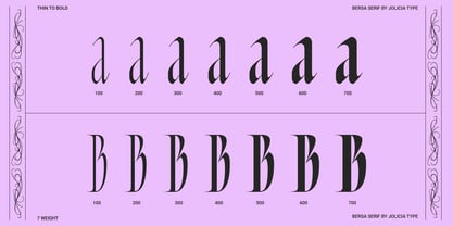 Bersa Serif Font Poster 15