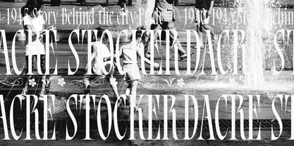 Bersa Serif Font Poster 7