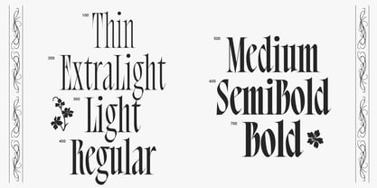 Bersa Serif Font Poster 2