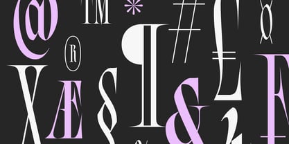 Bersa Serif Font Poster 4